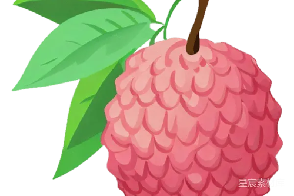元素素材 荔枝插画