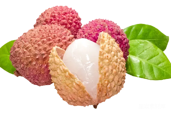 元素素材 荔枝