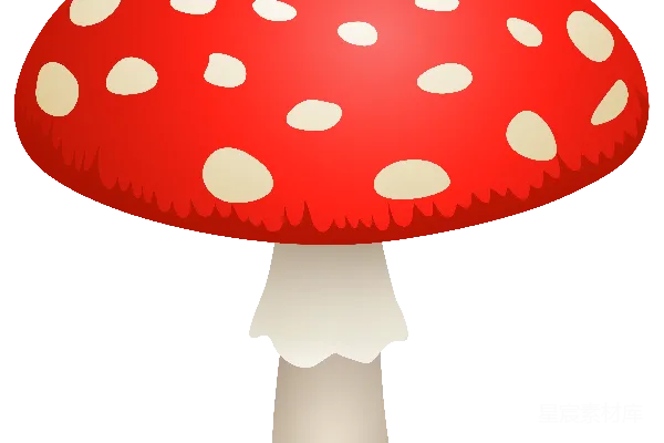 元素素材 白灵芝