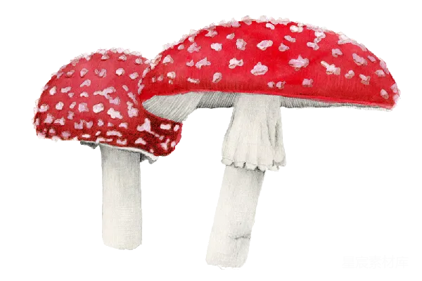 元素素材 透明的
