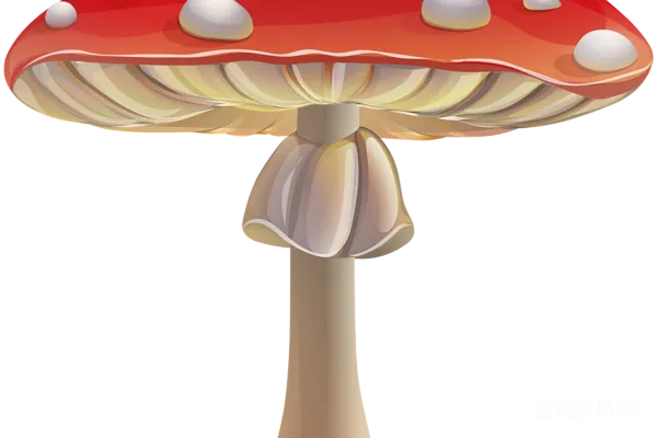 元素素材 灵芝