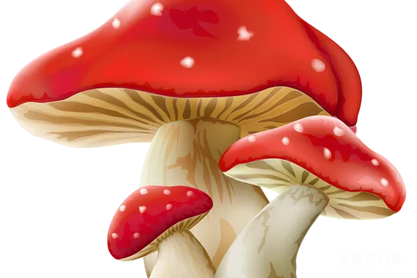 元素素材 红色斑点的蘑菇插画