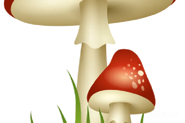 元素素材 拟菇属