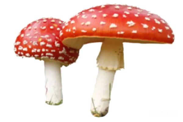 元素素材 透明