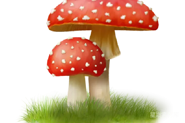 元素素材 毒伞菇