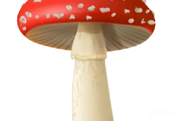 元素素材 红白斑点的蘑菇