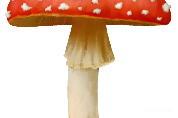 元素素材 蘑菇