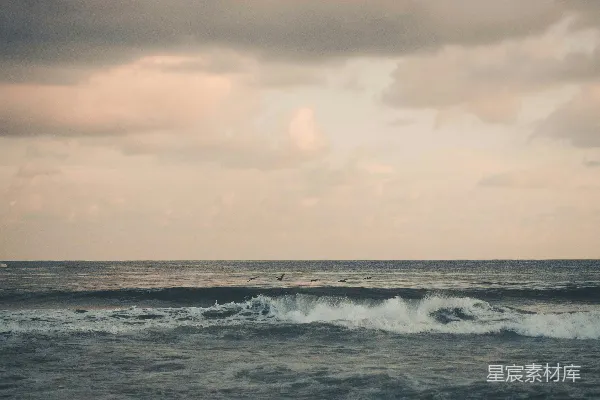 高清摄影 白天海浪在阴天的天空下