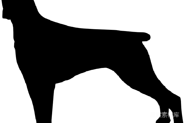 元素素材 透明