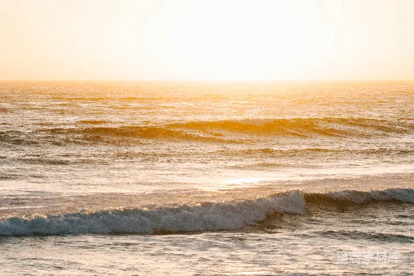 高清摄影 海边一个穿着冲浪板的人在波浪上 Riding a surfboard on a wave in the ocean