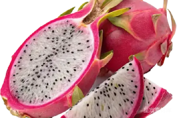 元素素材 龙