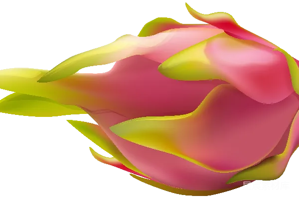 元素素材 透明