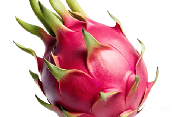 元素素材 龙