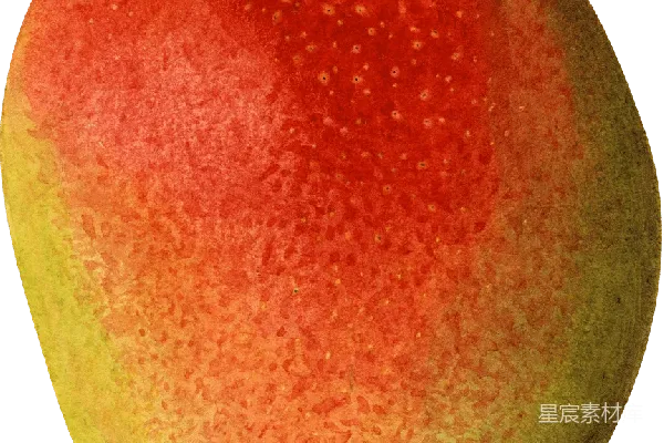 元素素材 芒果