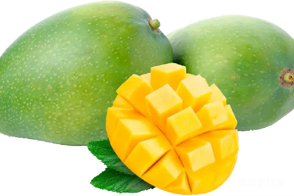 元素素材 mango