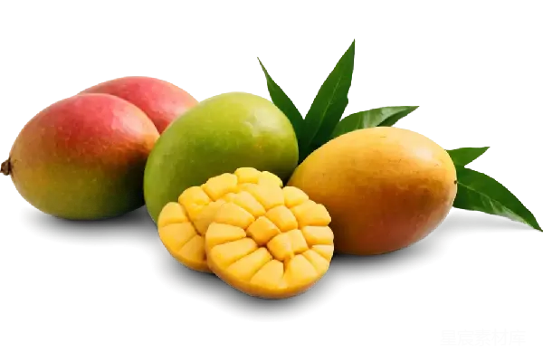 元素素材 芒果