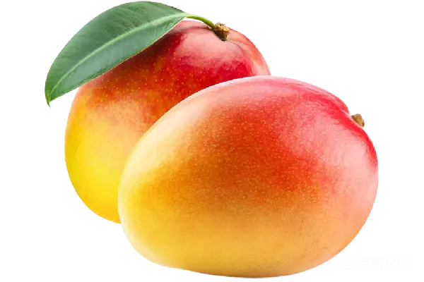元素素材 mango