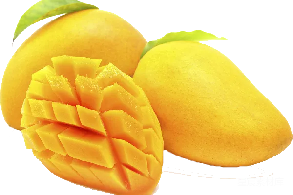 元素素材 芒果
