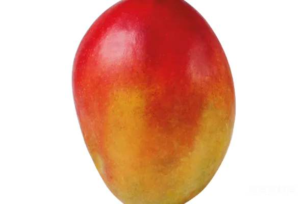 元素素材 芒果