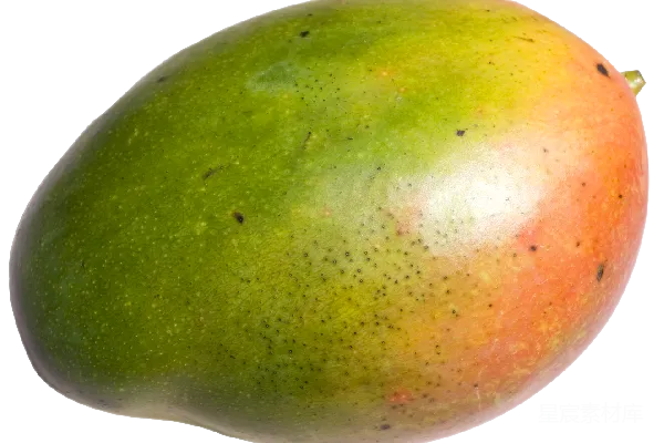 元素素材 芒果