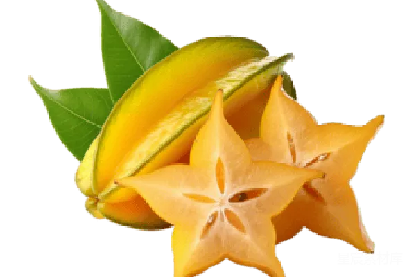 元素素材 PNG