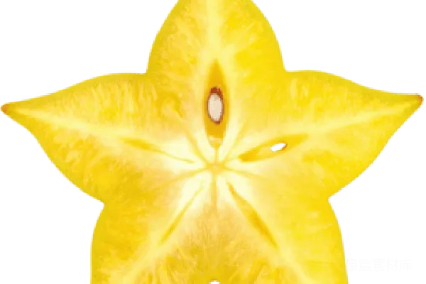 元素素材 番石榴
