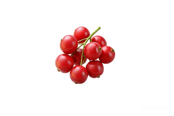 元素素材 PNG
