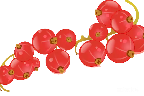 元素素材 红果