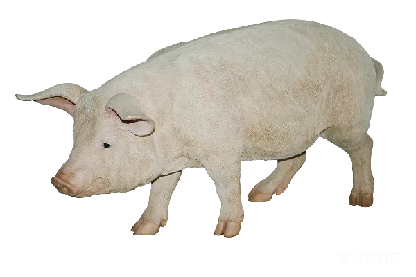 元素素材 透明