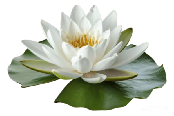 元素素材 水