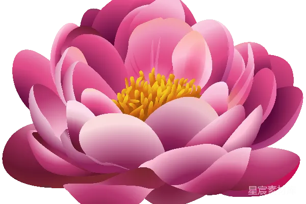 元素素材 水