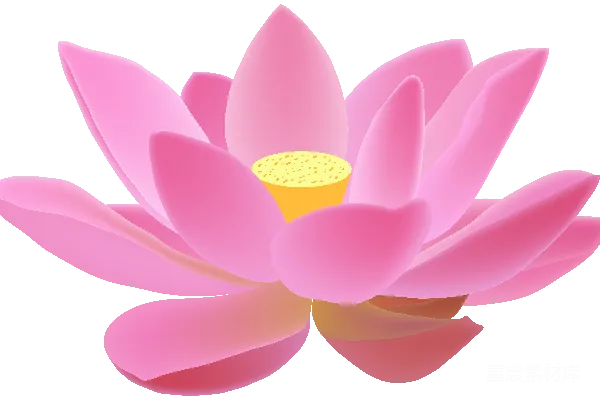 元素素材 粉红色的莲花插画