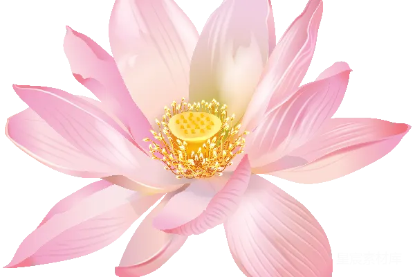 元素素材 水