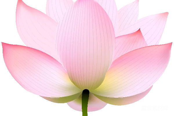 元素素材 水