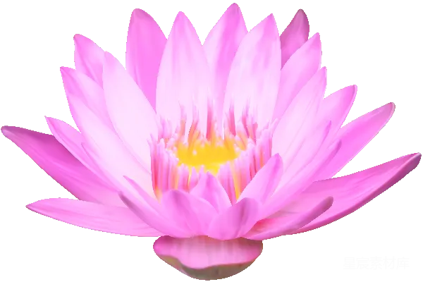 元素素材 透明的