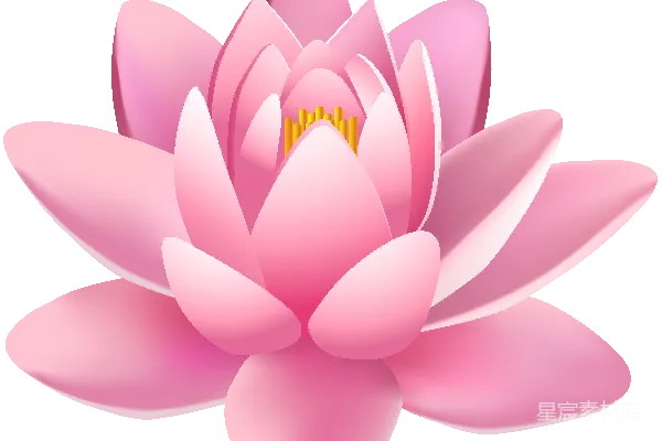 元素素材 水