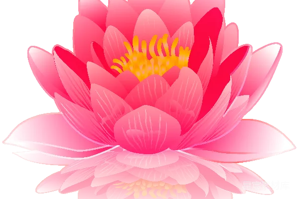 元素素材 水