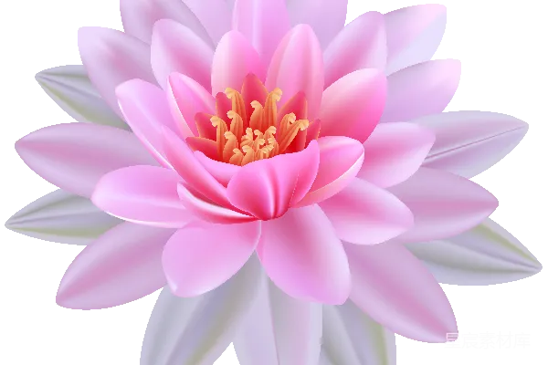 元素素材 水