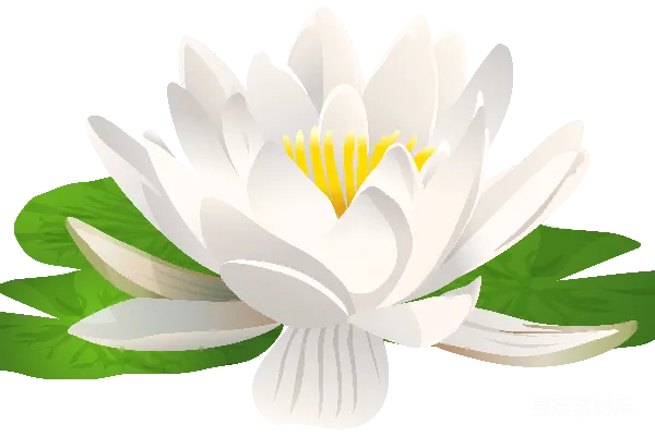 元素素材 水