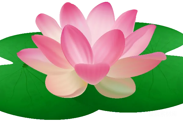 元素素材 水