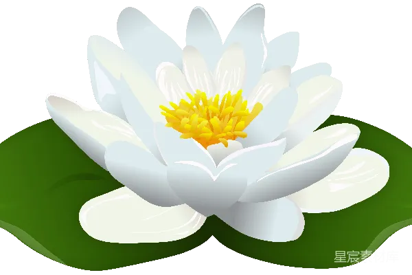 元素素材 水