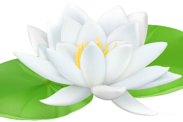 元素素材 水