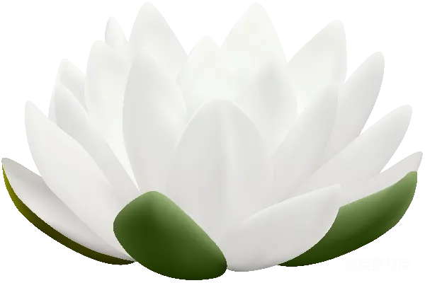 元素素材 水