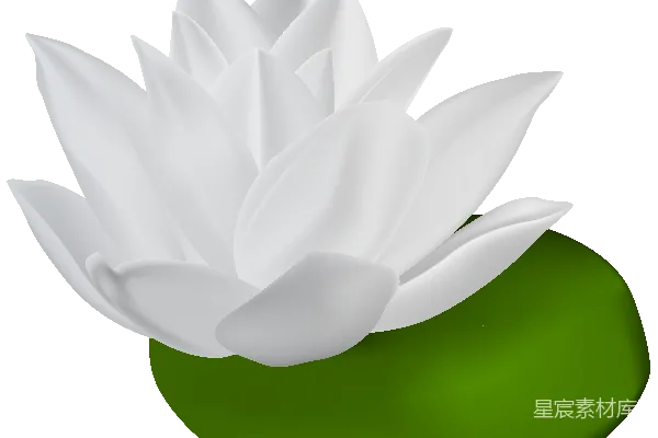 元素素材 透明