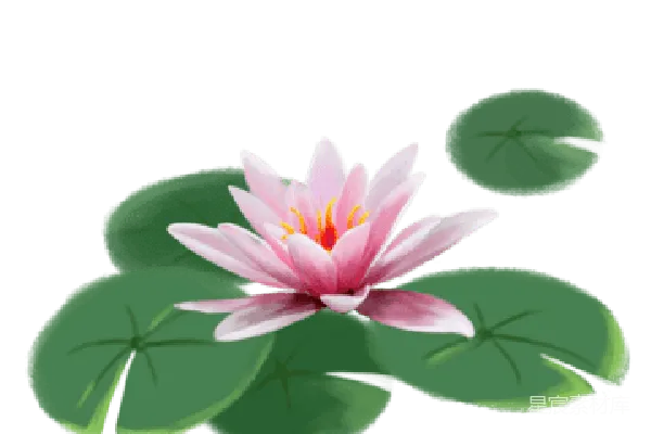 元素素材 水