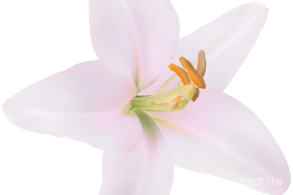 元素素材 莉尔姆