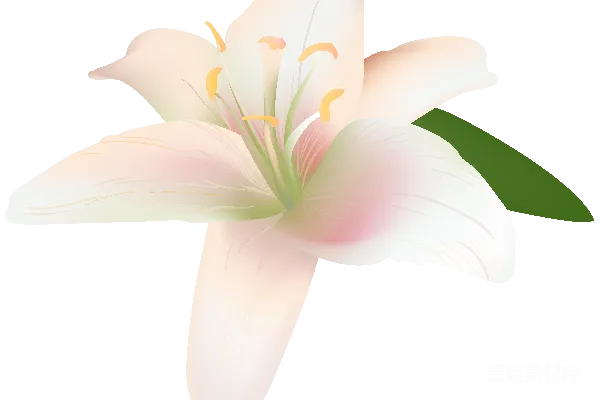 元素素材 透明