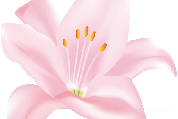 元素素材 莉尔姆