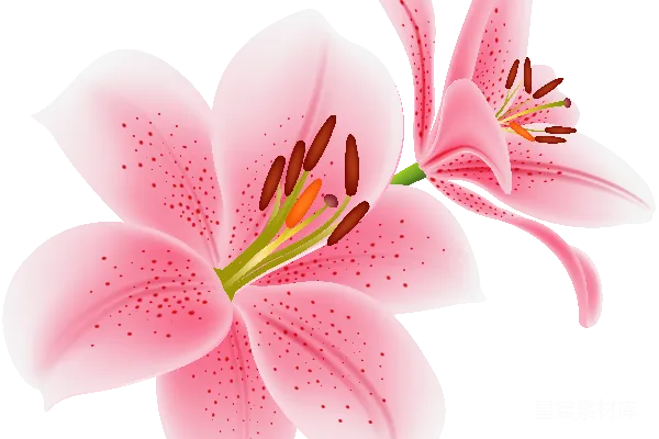 元素素材 莉尔姆