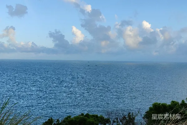 高清摄影 围绕着树木的一片水域